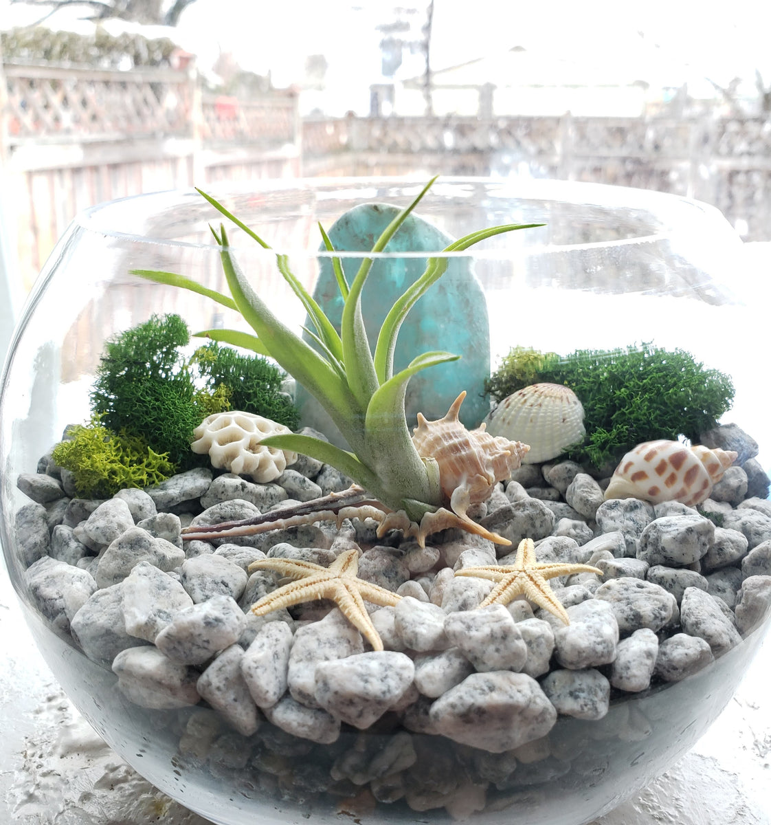 Naturally Neutral – Natural Treasures Canada