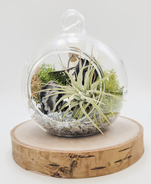 Agate Terrarium Orb