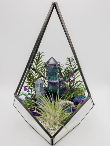 Amethyst, Fluorite, and Ruby in Kyanite Air Plant Terrarium