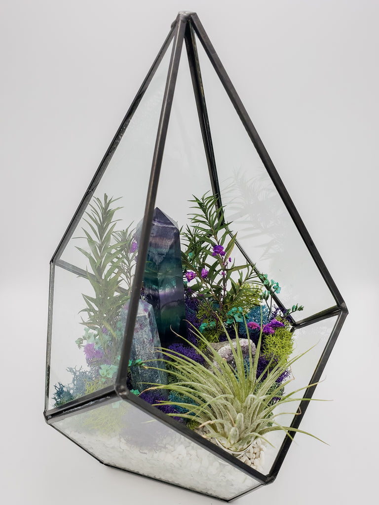 plant terrarium canada Amethyst, Fluorite, and Ruby in Kyanite Air Plant Terrarium – Natural Treasures Canada