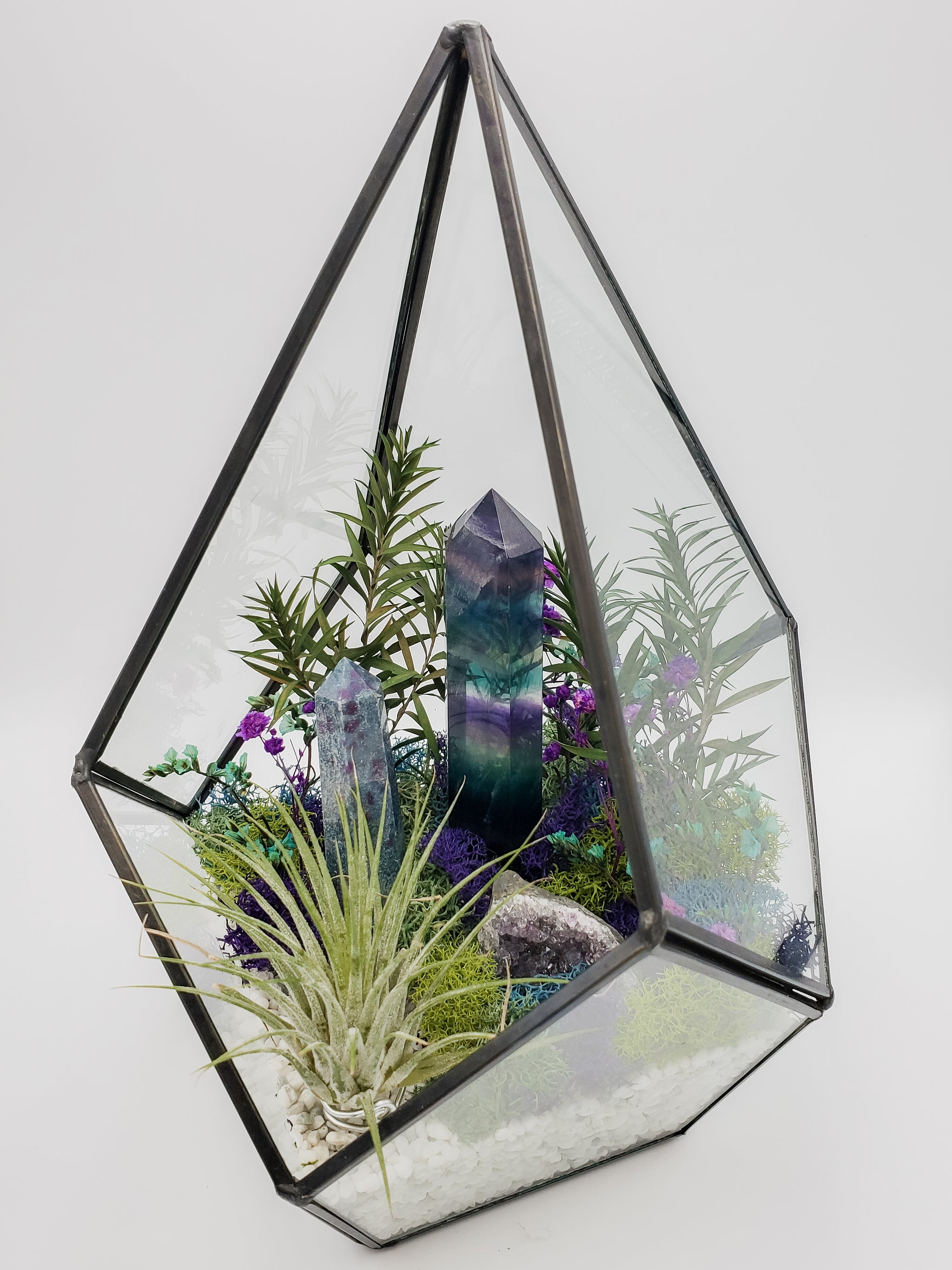 air plant terrarium with crystals Amethyst, Fluorite, and Ruby in Kyanite Air Plant Terrarium – Natural  Treasures Canada