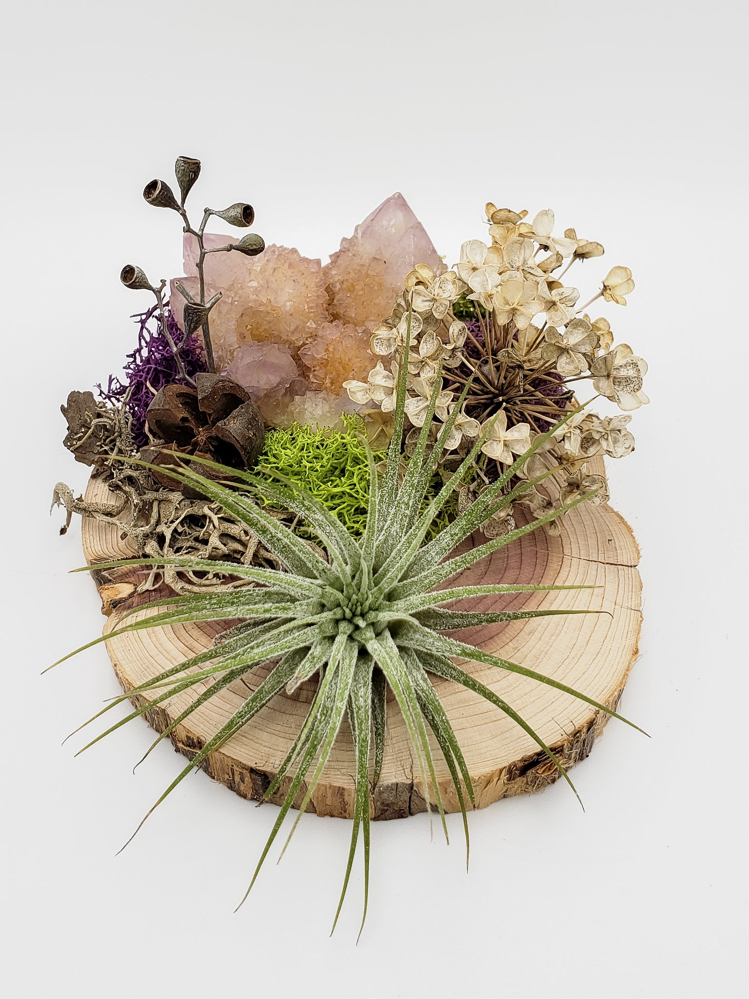 Spirit Quartz and Air Plant on Wood