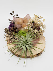 Spirit Quartz and Air Plant on Wood