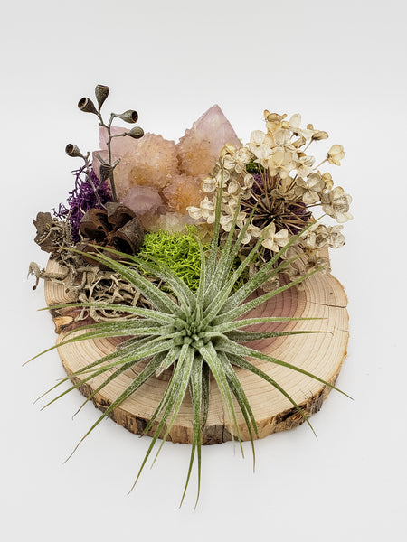 Spirit Quartz and Air Plant on Wood