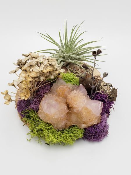 Spirit Quartz and Air Plant on Wood