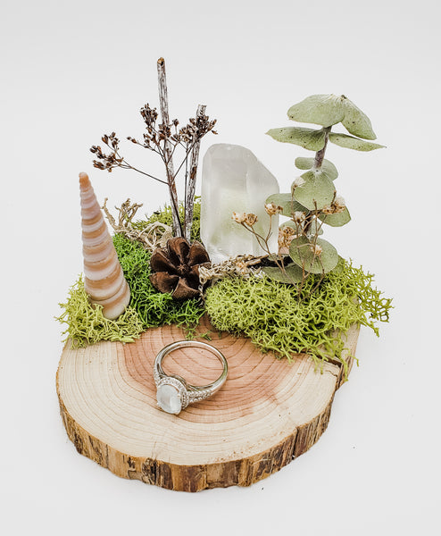 Lemurian and Air Plant on Wood Coaster