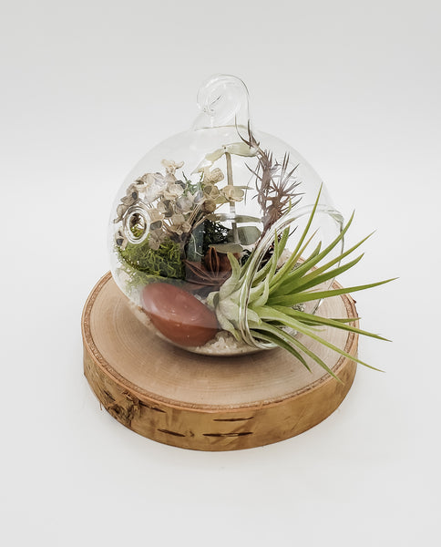Pyrite and Red Jasper Terrarium Orb