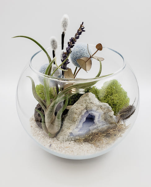 Blue Lace Agate Terrarium