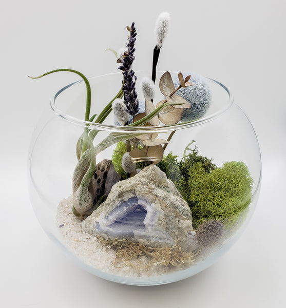 Blue Lace Agate Terrarium