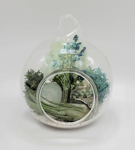 Caribbean Calcite Terrarium Orb