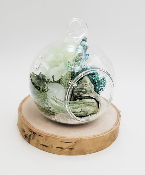 Caribbean Calcite Terrarium Orb