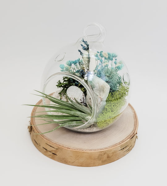 Blue Aragonite Terrarium Orb