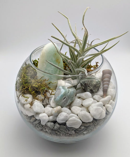 Caribbean Calcite and Blue Aragonite Fishbowl Terrarium