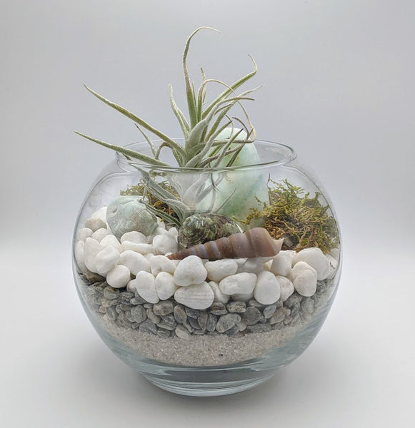 Caribbean Calcite and Blue Aragonite Fishbowl Terrarium