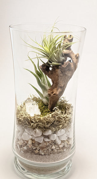 Clear Quartz and Driftwood Terrarium