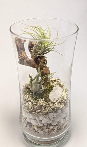 Clear Quartz and Driftwood Terrarium
