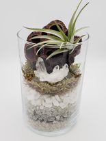 Clear Quartz and Lotus Pod Terrarium