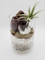 Clear Quartz and Lotus Pod Terrarium